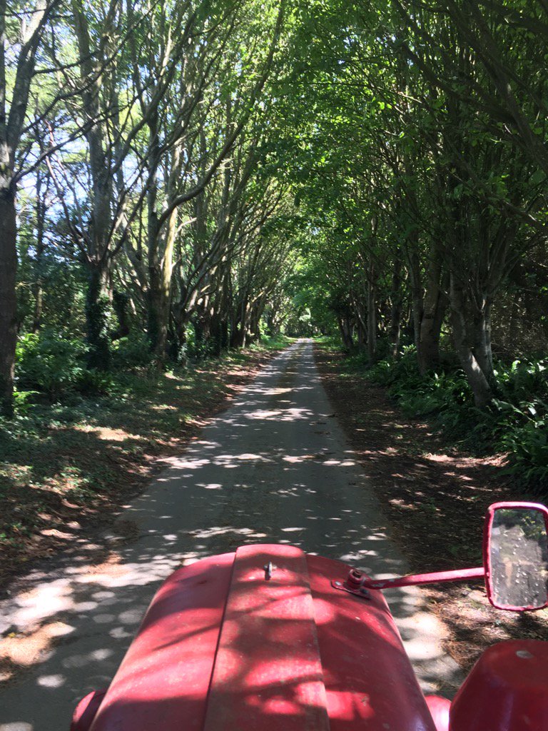 Kernow_Life's tweet photo. #dappled #sunshine along #trewinnard #lane. Lovely light breeze on the face . #littleredtractor #kernow #cornwall https://t.co/A05HSkhj9S