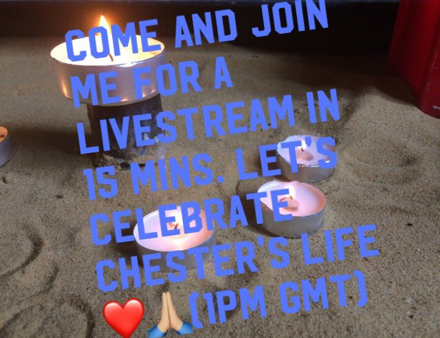 LPFANCLUB2's tweet photo. On our Instagram page 💗 Spread the word! Spread love https://t.co/vhQ4oPcwrb