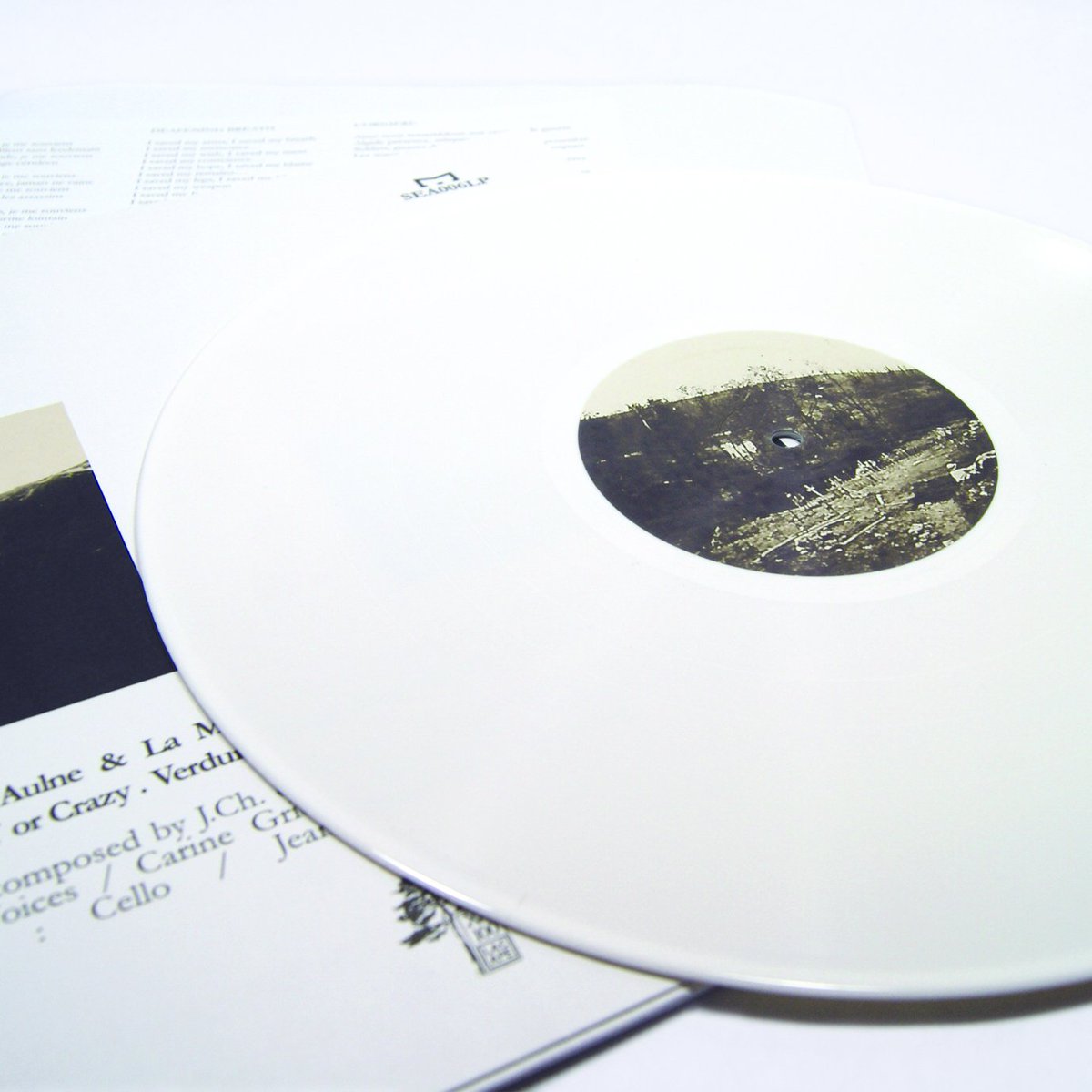 NOSUN MEDIA tweet media