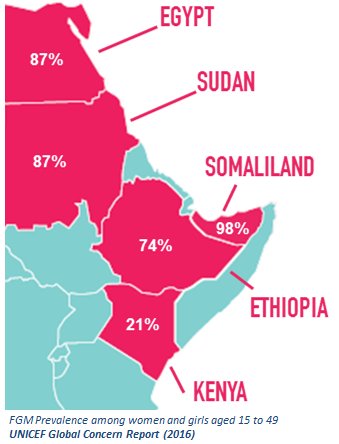 TheGirlGen's tweet photo. #Somaliland has an FGM prevalence of 98%. @fmwangipowell is hopeful it can end. Here's why: https://t.co/2yrVHtqxU5 #EndFGM https://t.co/mvIMp1Tpqx