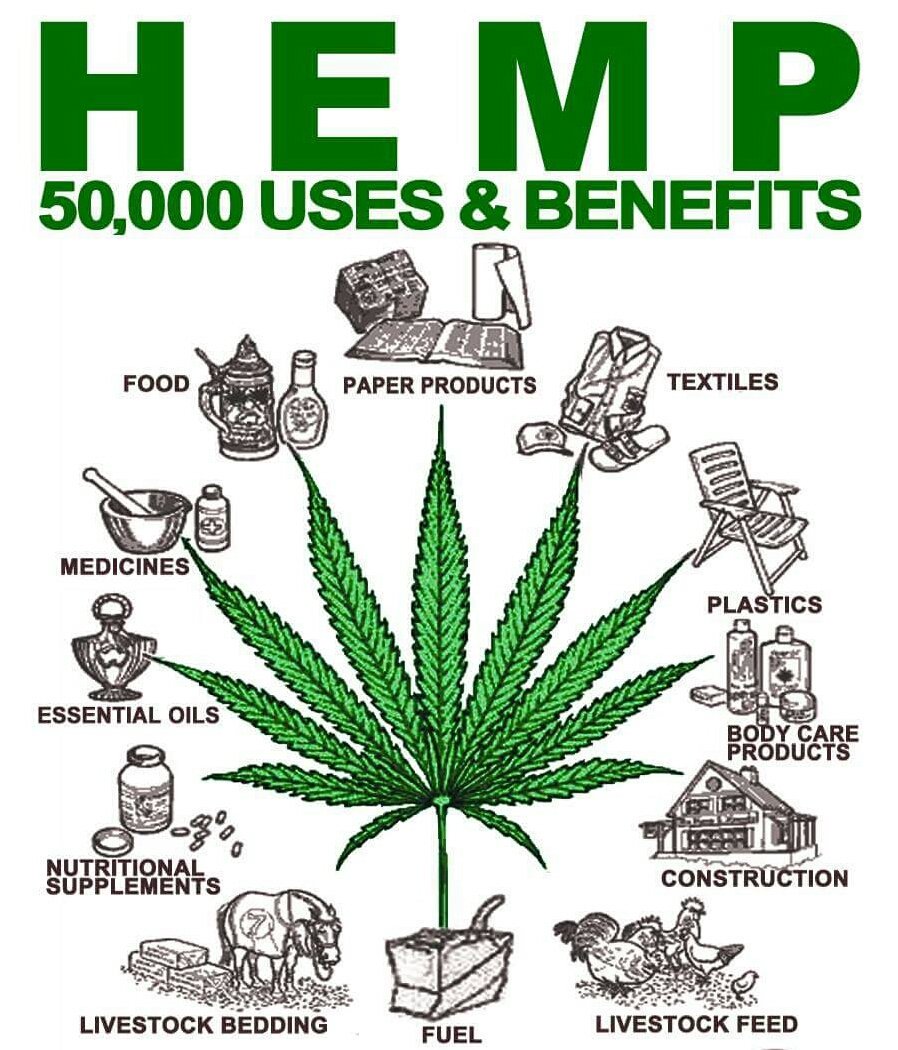 SweetHealthUK's tweet photo. #Hemp - the uses and benefits of this truly versatile natural resource - #BreakingTaboos #KnowledgeIsPower #HempTruth https://t.co/34CcGcEPdb
