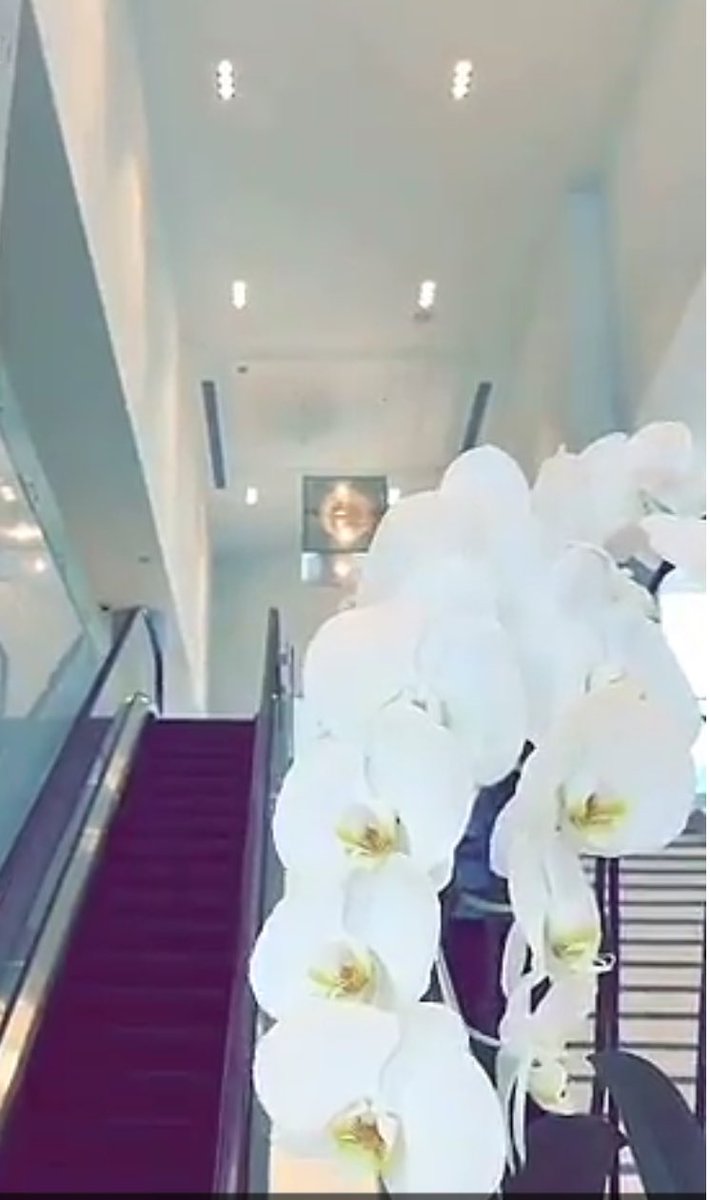 الطريق للأعلى فقط للمهتمين☝🏽!