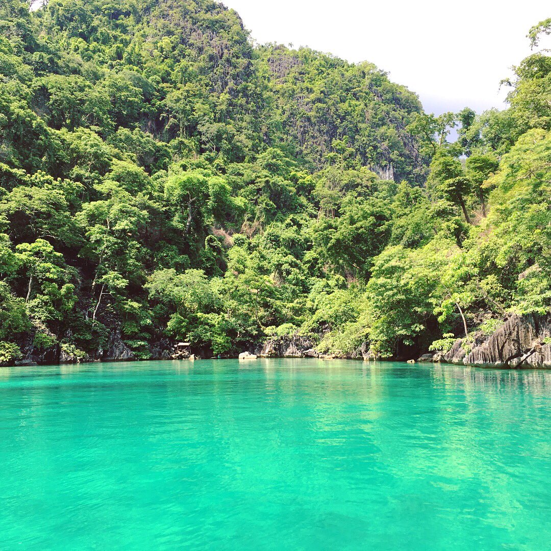 thetacndysgnz's tweet photo. Green Lagoon! π no filter needed ππΌ #YonCoron #CoronTrip #Coron #Palawan #GreenLagoon https://t.co/vVIGstBLej
