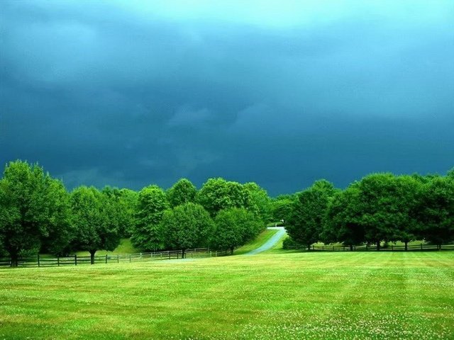 N'offre pas une cravate à qui a besoin d'une chemise 🌷🌷🌷🌷🌷