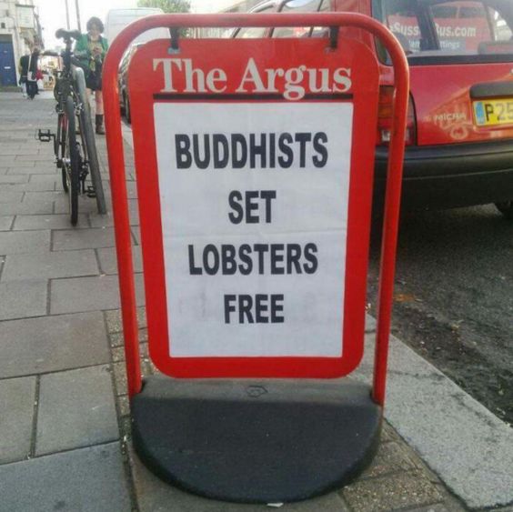 Crap Local News tweet media