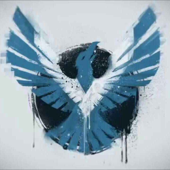 Darwisy 303 tweet media