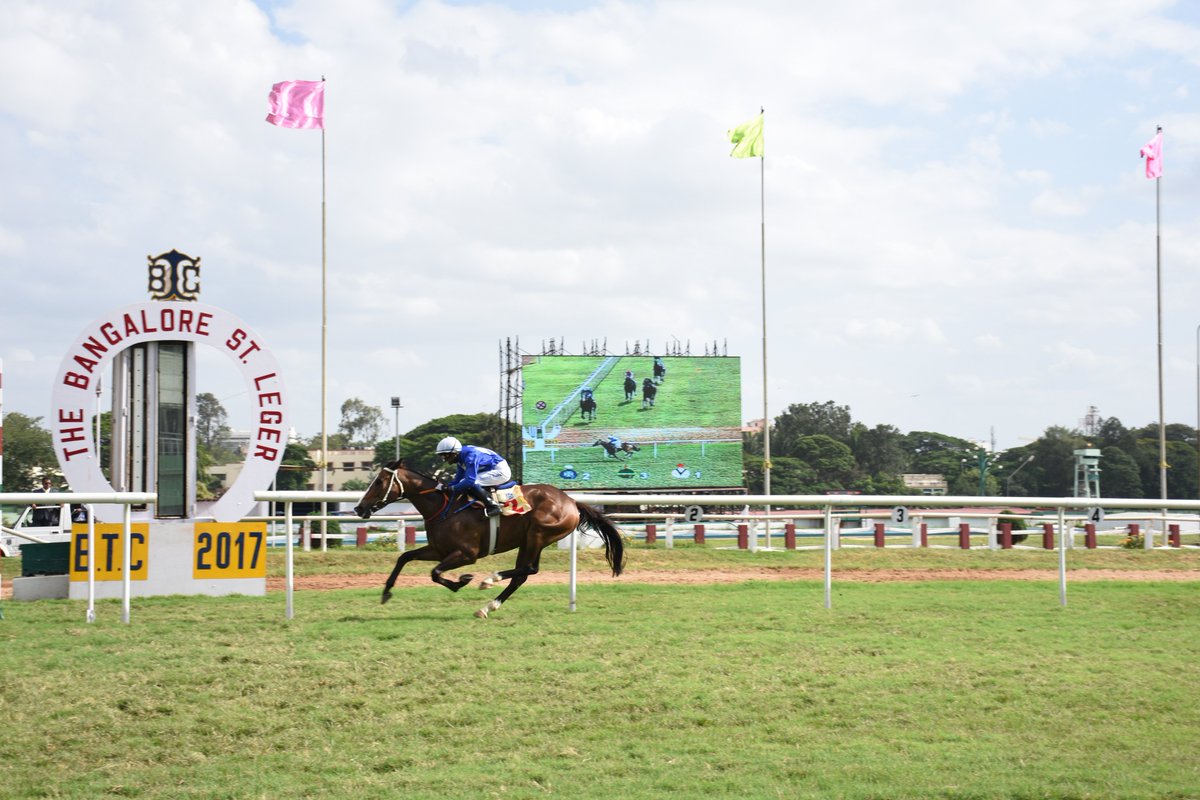 indiaracedotcom's tweet photo. #MATHAIYUS by Multidimensional wins The Bangalore St. Leger (Gr.2) https://t.co/6NgmkHZ9Gl