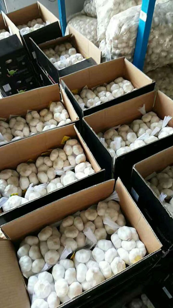 ChineseGarlic's tweet photo. https://t.co/yOeEAlzzR6