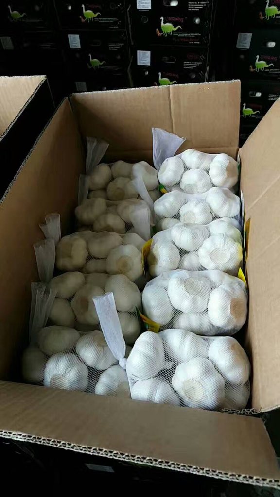ChineseGarlic's tweet photo. https://t.co/yOeEAlzzR6