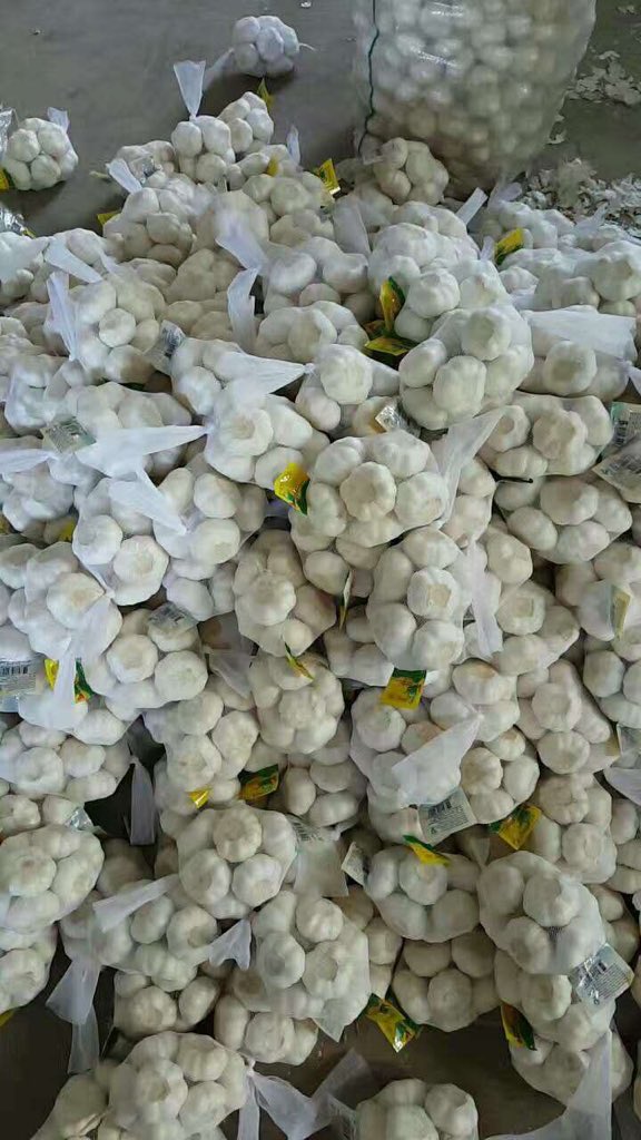 ChineseGarlic's tweet photo. https://t.co/yOeEAlzzR6