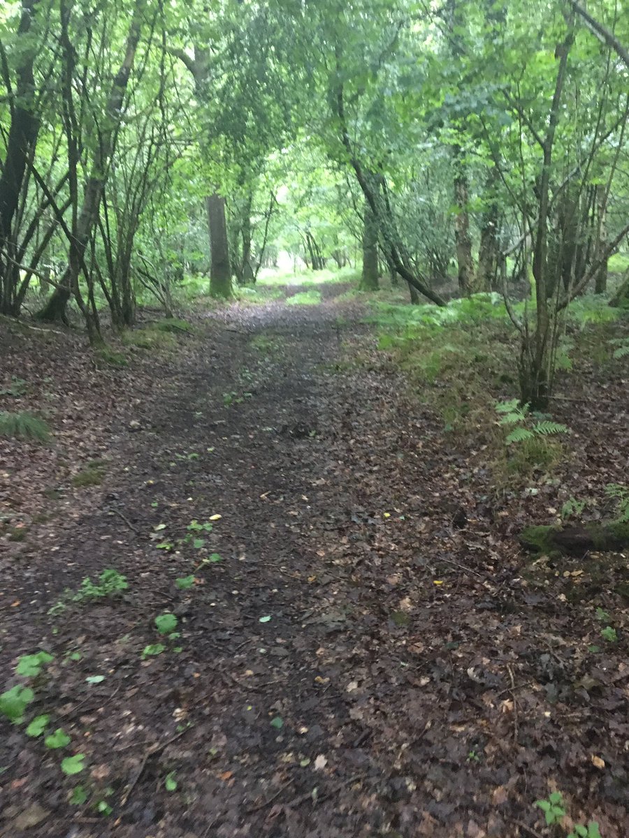 VicksRandallEdu's tweet image. Discovered a gorgeous new run just on my doorstep #simpleasures #lovetorun now covered in stings and scratches but def worth it!