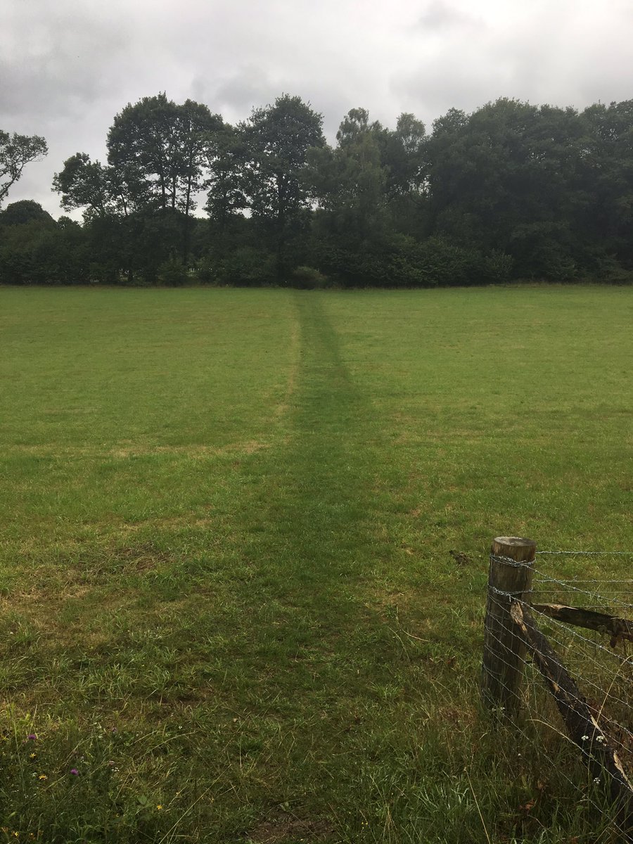 VicksRandallEdu's tweet image. Discovered a gorgeous new run just on my doorstep #simpleasures #lovetorun now covered in stings and scratches but def worth it!