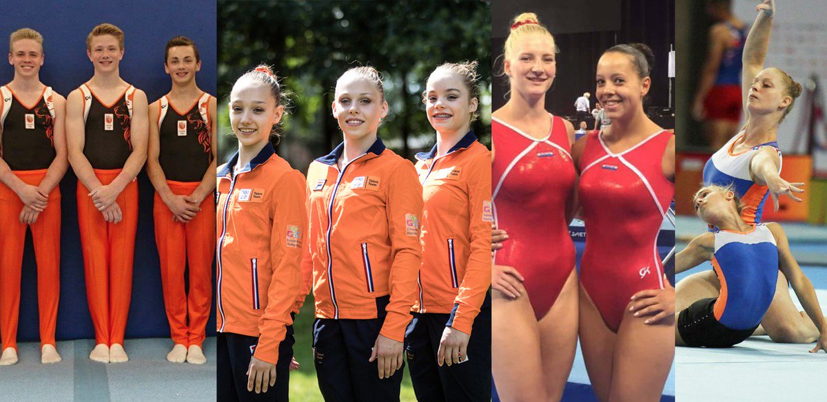 Dutch Gymnastics tweet media