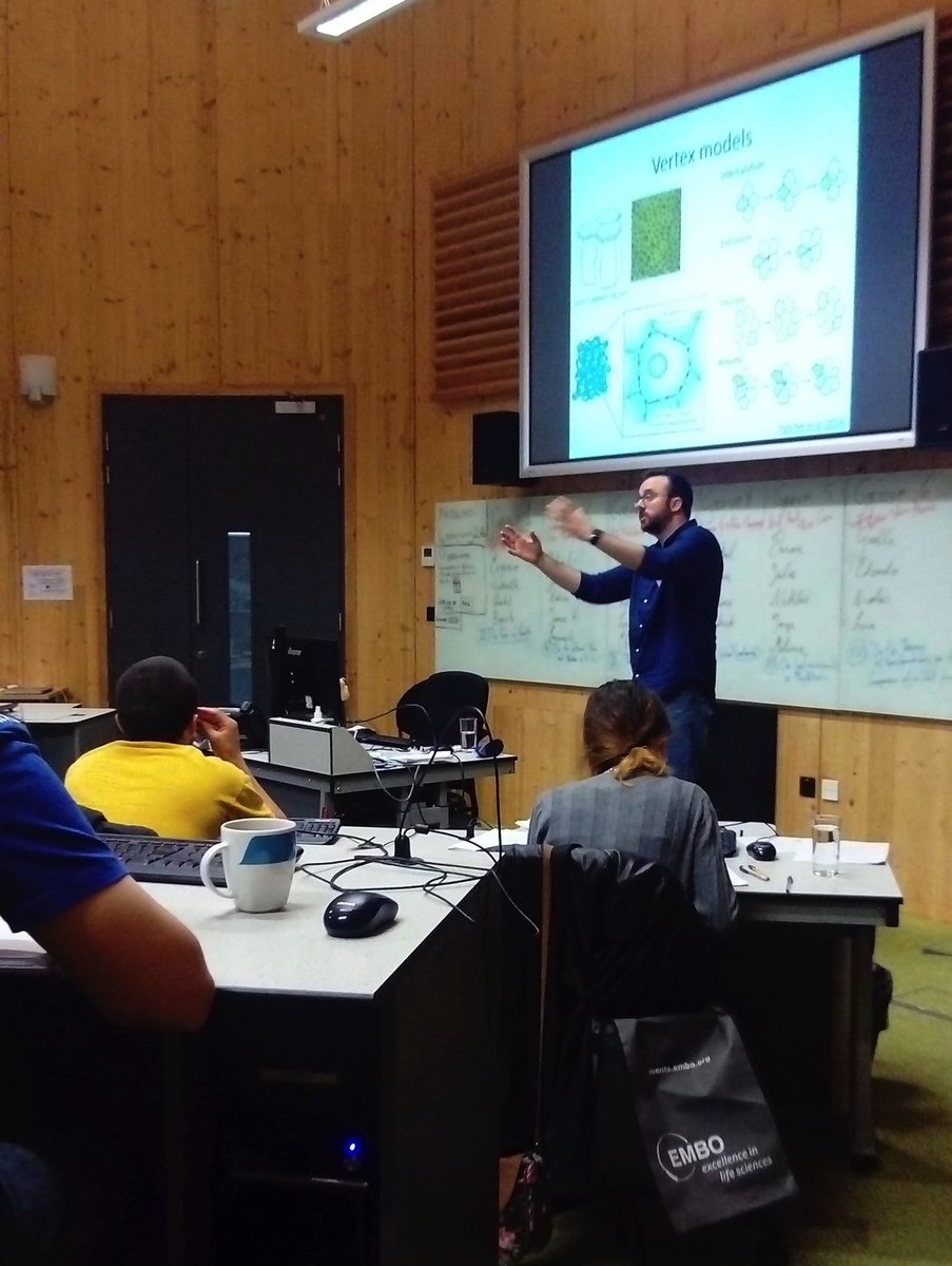 shefmathbio's tweet photo. @AlexGFletcher getting dynamic while introducing #Morphogenesis2017 to vertex models. https://t.co/qQjgU39dXp