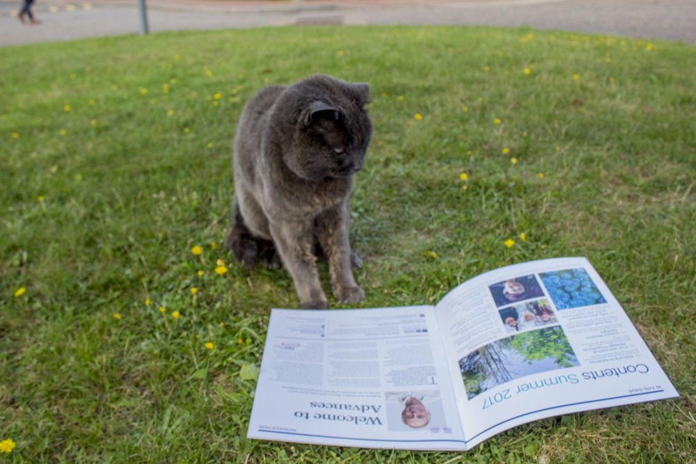 JohnInnesCentre's tweet photo. The summer 2017 issue of Advances is out now. You can read it online here - https://t.co/AhIfSnQJPU https://t.co/8hNB7Ai3bT
