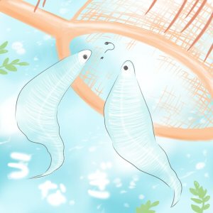 レプトケファルスのtwitterイラスト検索結果 古い順 レプトケファルスのtwitterイラスト検索結果 古い順