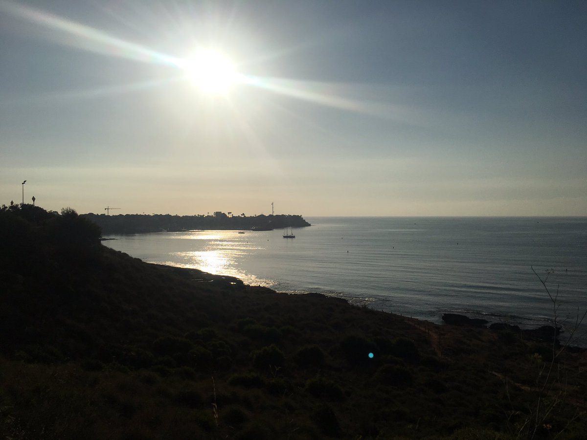 spuuunky's tweet photo. Morning walks. https://t.co/g63PWCJwHL