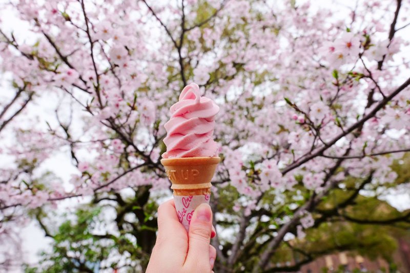 alexjourneys_'s tweet image. 7 Tempat Terbaik Menikmati Bunga Sakura di Jepang. *NEW POST di #FunBlog @FunAdventure_ is.gd/xeTk88