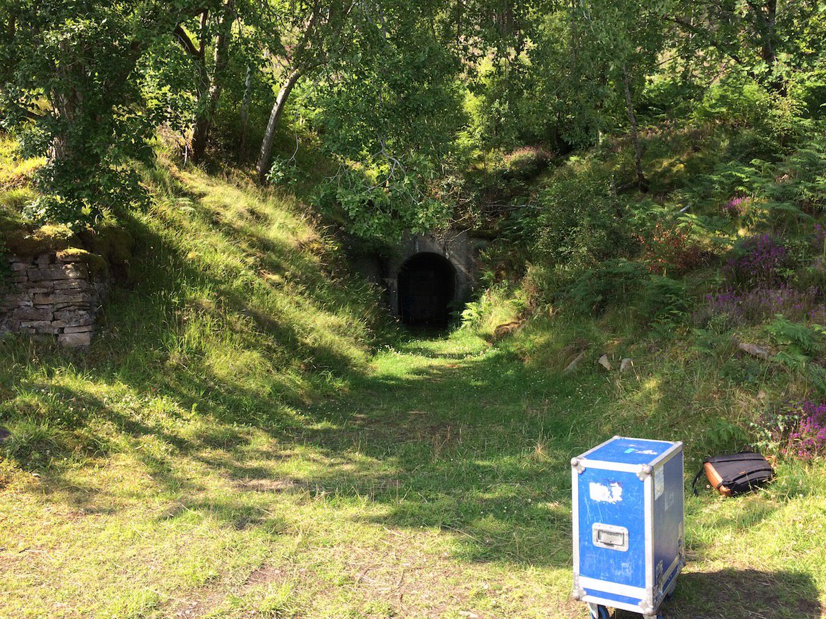 Sam Annand tweet media