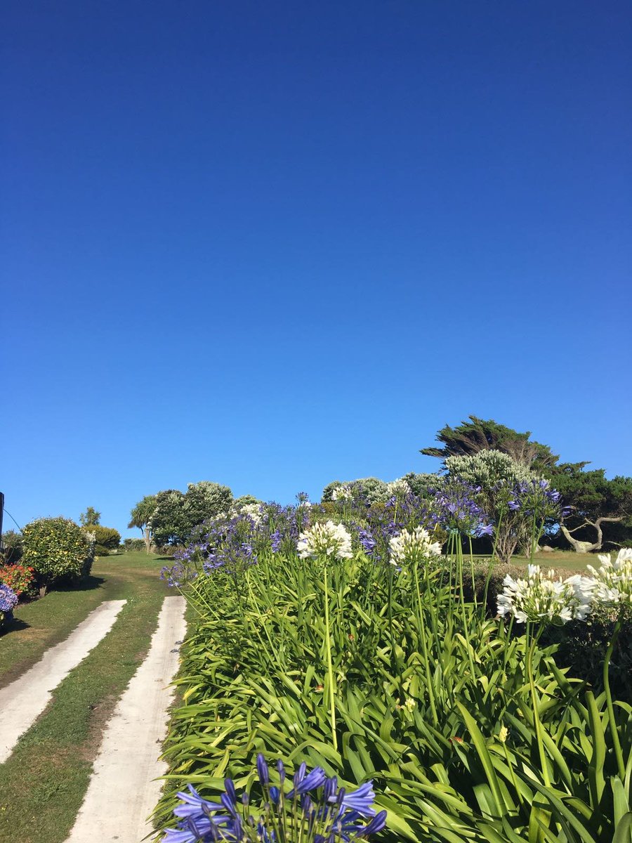 HardysDorset's tweet photo. @WhatsOnInDorset a difference 200 miles makes?! #rain #rainday #sunshine #Dorset #IOS #Scilly #holiday #holidays https://t.co/w5D3RTLQMs