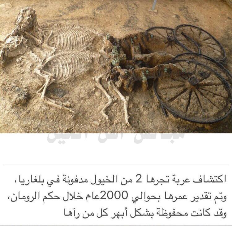 njdcom's tweet photo. اكتشاف عربة جر خيول مدفونه في بلغاريا يقدر عمرها بحوالي 2000 عام 
#مجالس_اهل_الخيل https://t.co/ipo7xsXkPl