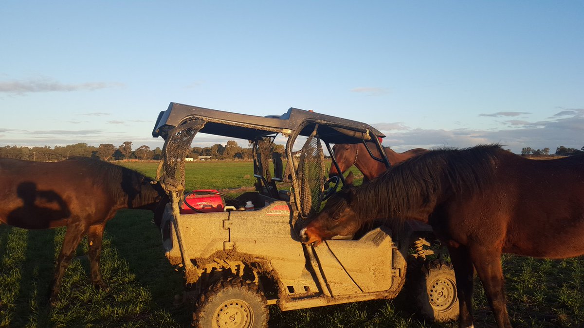 HRVHERO's tweet image. Started @Remote_Coach visting HERO warrior Artoc; finished with HEROES @Alabarfarms. 535km day of bliss @HRVnews #everybodyneedsahero