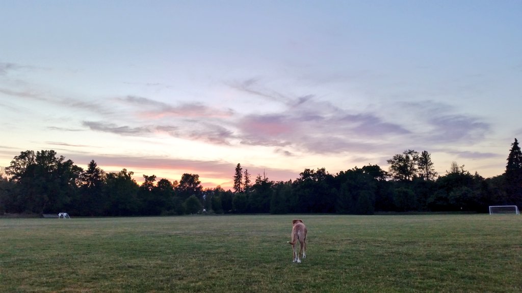 Alexaaarnett's tweet photo. Summer at the park🙄 https://t.co/6EhWTy5n1T