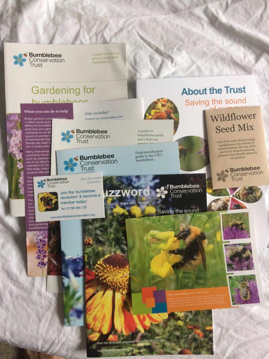 BumblebeeTrust's tweet photo. RT @Solo_Observer: Just received my welcome pack from @BumblebeeTrust. For 20 quid joining was a no-brainer. 🐝 https://t.co/qywAHU1NJL