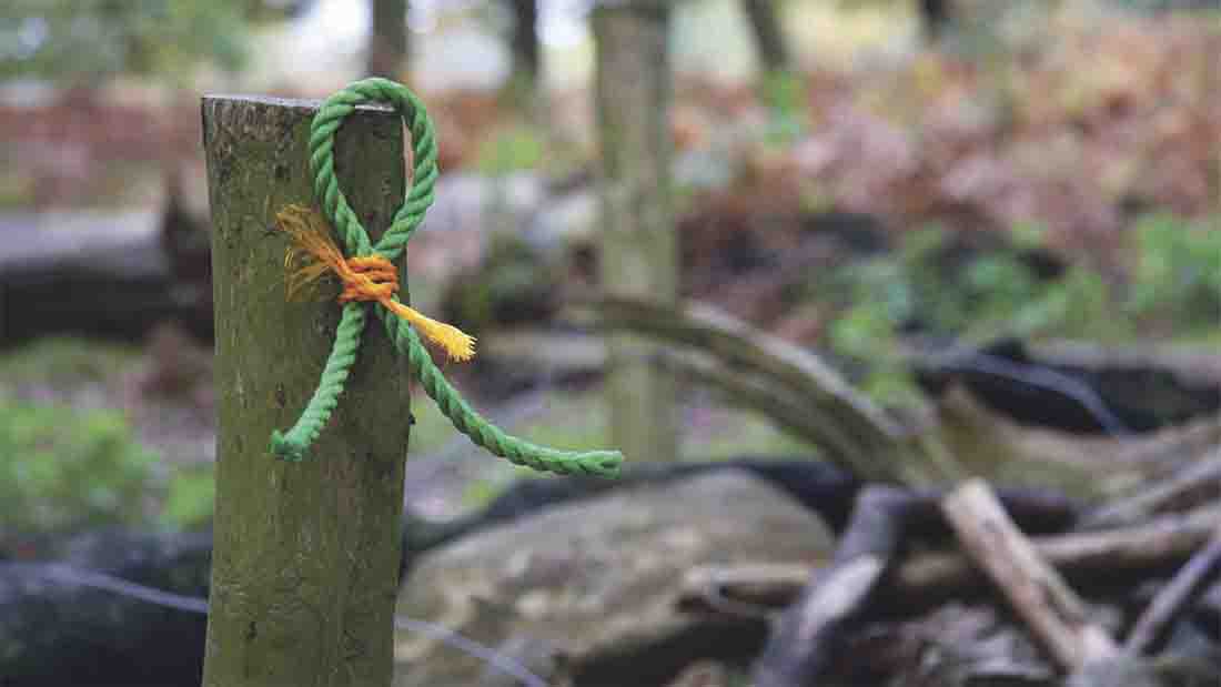 FarmersGuardian's tweet photo. Industry urged to reverse ‘poor safety record’ as Farm Safety Week kicks off, writes @FGlaurendean

https://t.co/PexSu2PXuY https://t.co/1CXtKERxYa