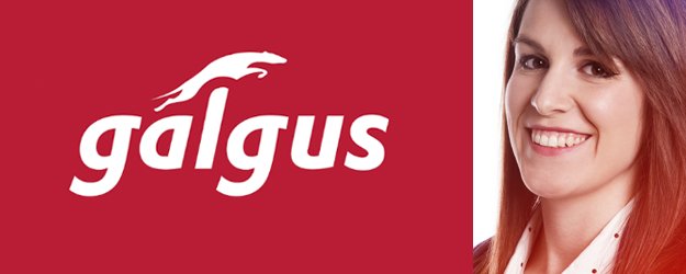 Enhorabuena a <a href="/galgus_/">Galgus</a> por el Premio a la Excelencia en las PYMES andaluzas ¿Quieres conocer más sobre ellos? portalvirtualempleo.us.es/news/galgus/