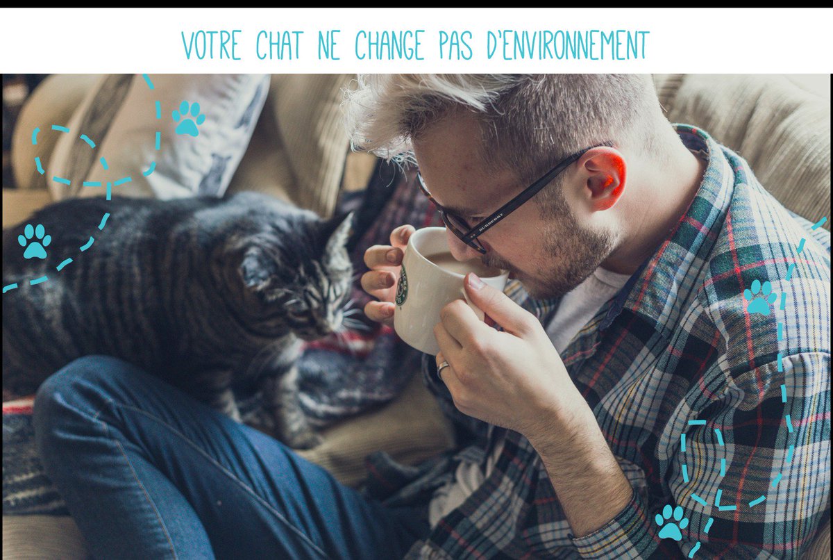 WePetsitty® tweet media