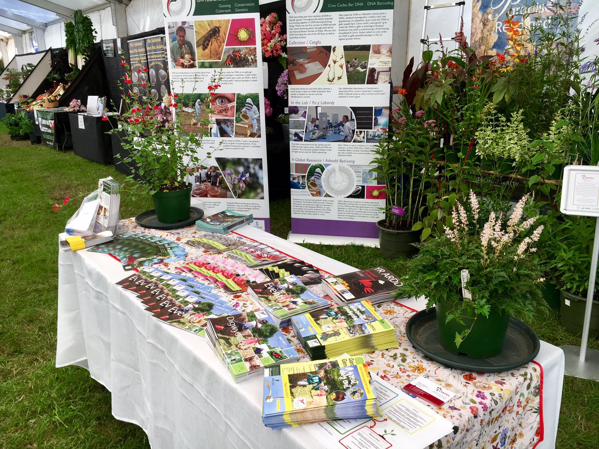 walesbotanic's tweet photo. Attending the @royalwelshshow this week? Call by the Garden's stand in the Horticulture Tent!

#GardenOfWales 🌿 https://t.co/ge7cXMo4uQ