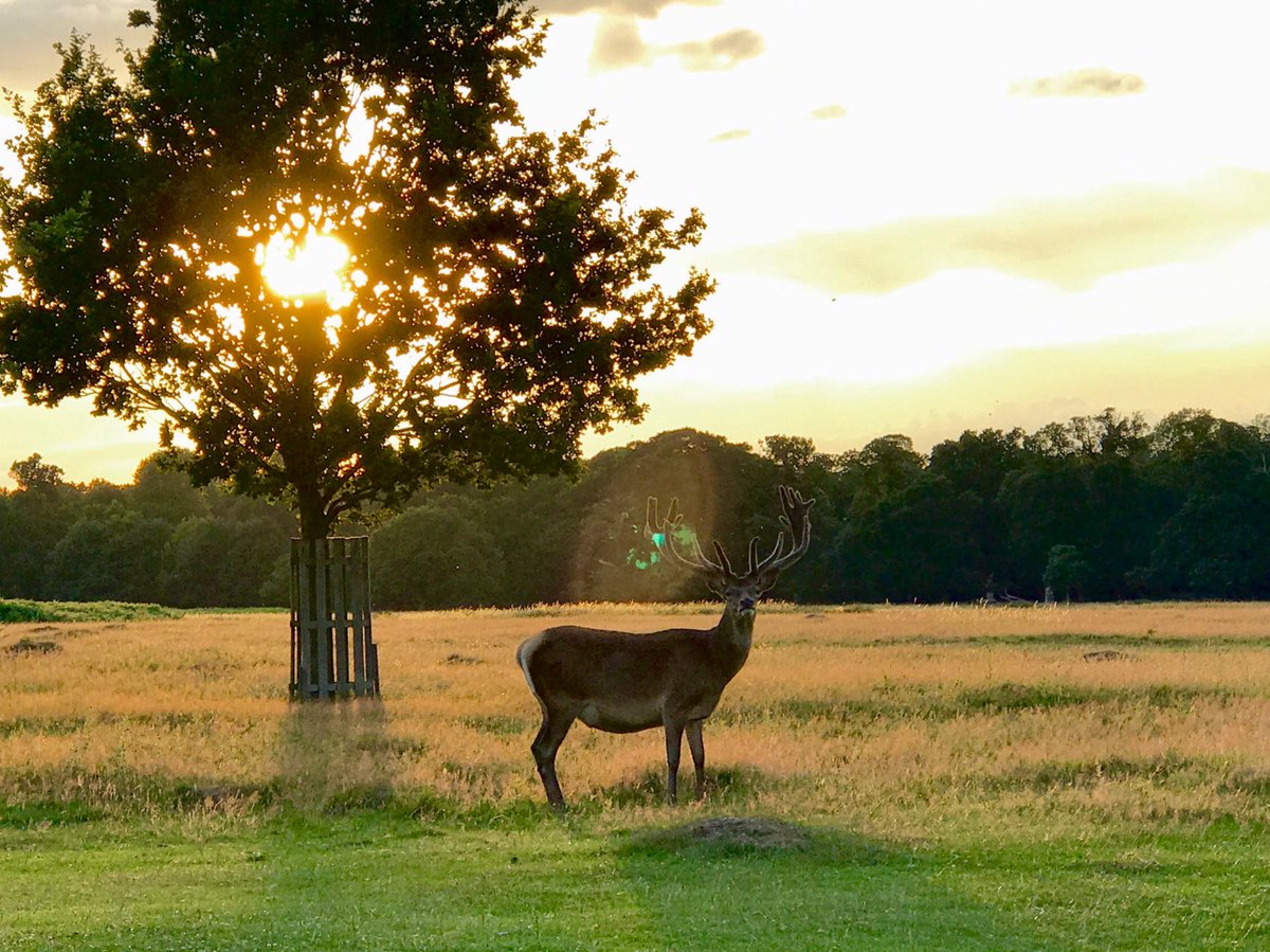 Capturing an evening Stag view. #getoutside