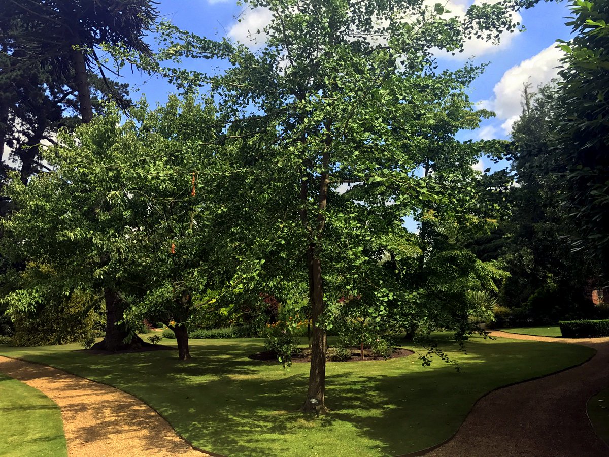 Elgood's Brewery tweet media