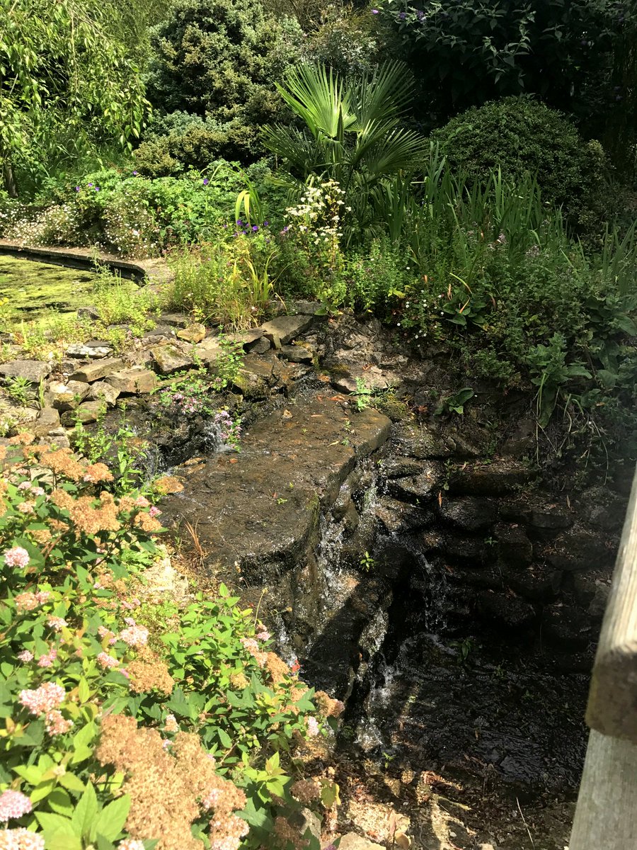 Elgood's Brewery tweet media