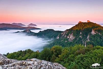 VAUDE_sport's tweet photo. There's always something wonderfully new to be found!
#cloudocean #picoftheday #outdoortherapy #naturebeauty #stunningview #exploretheworld https://t.co/AwsdXTMw9g