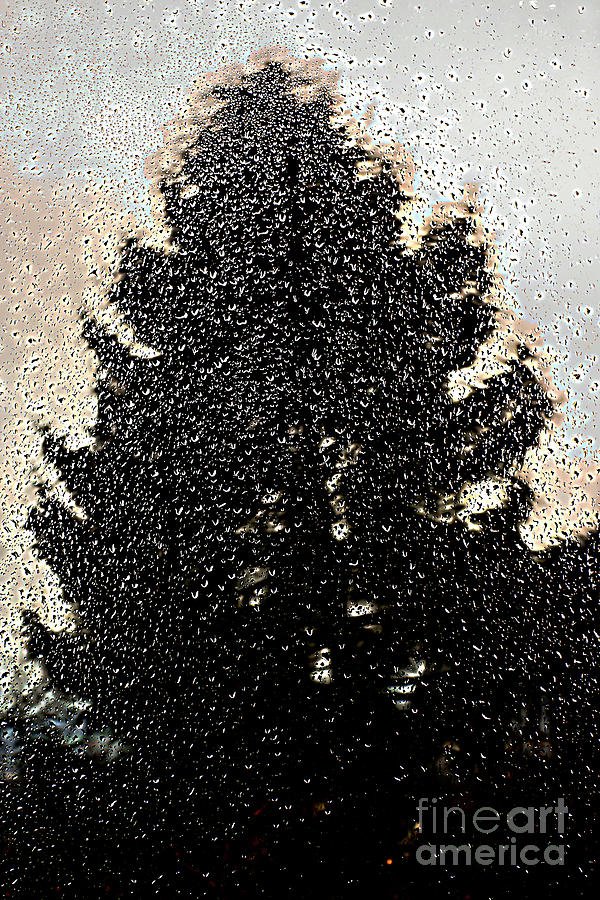 photographervin's tweet photo. #PLEASEretweets #print #photography The Old #Fur Under The #Rain by #AlexanderVinogradov https://t.co/YOuHnR993a https://t.co/gfflcAkvT9