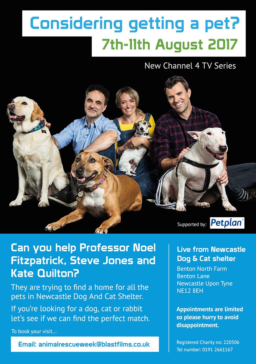 animalrescuec4's tweet photo. WE'RE GOING TO TRY TO REHOME ALL THE PETS AT @Dog_Cat_NCLE IN 1 WEEK! SPREAD THE WORD! #dogsoftwitter #CatsOfTwitter #supervet #Newcastle https://t.co/somPWupWGA