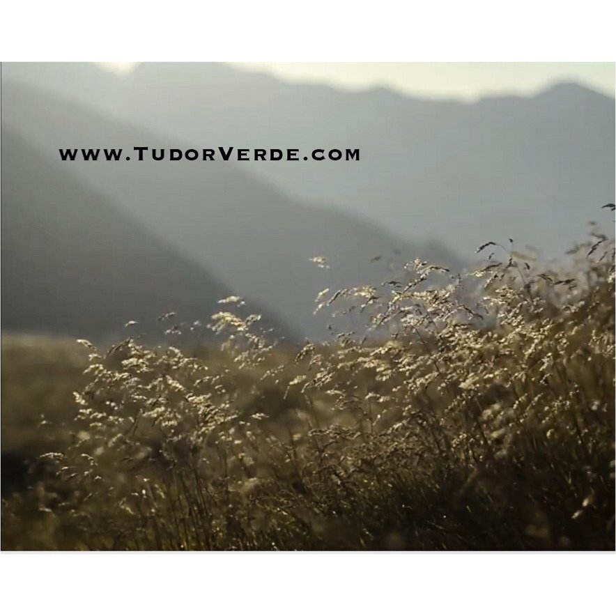 HighSpiritFlute's tweet photo. Music Monday, enjoy this short but beautiful music video by Tudor Verde from Romania. #MusicMonday #TudorVerde #CondorBassD  #NativeFlutes https://t.co/Ye9MIIHMjj