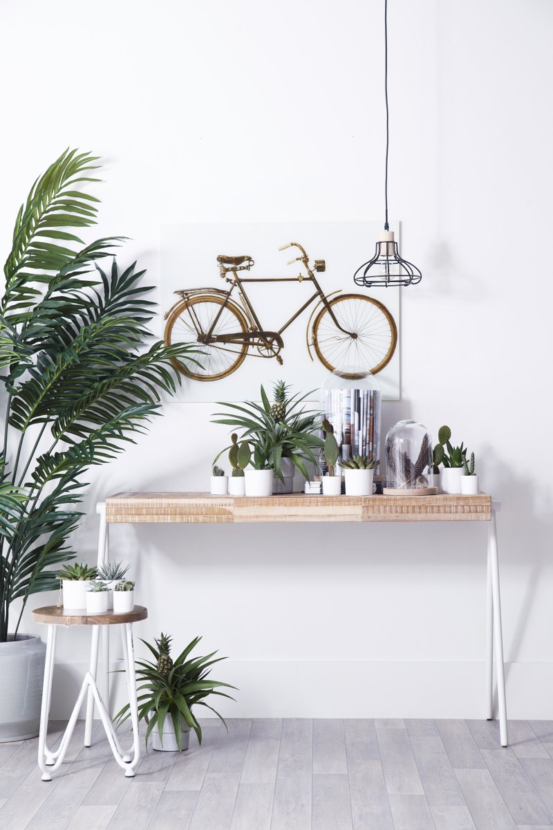 Even wat frisse tinten, houtsoorten en planten op deze eerste maandag van de vakantie! De trend Urban Jungle vinden jullie op onze website!🌱