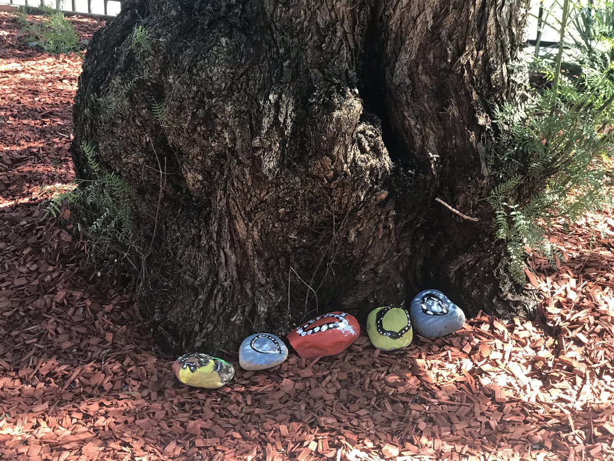 MrsMckinnon7's tweet photo. Celebrating NAIDOC Week @sttsadleir https://t.co/w5oUKytfpp