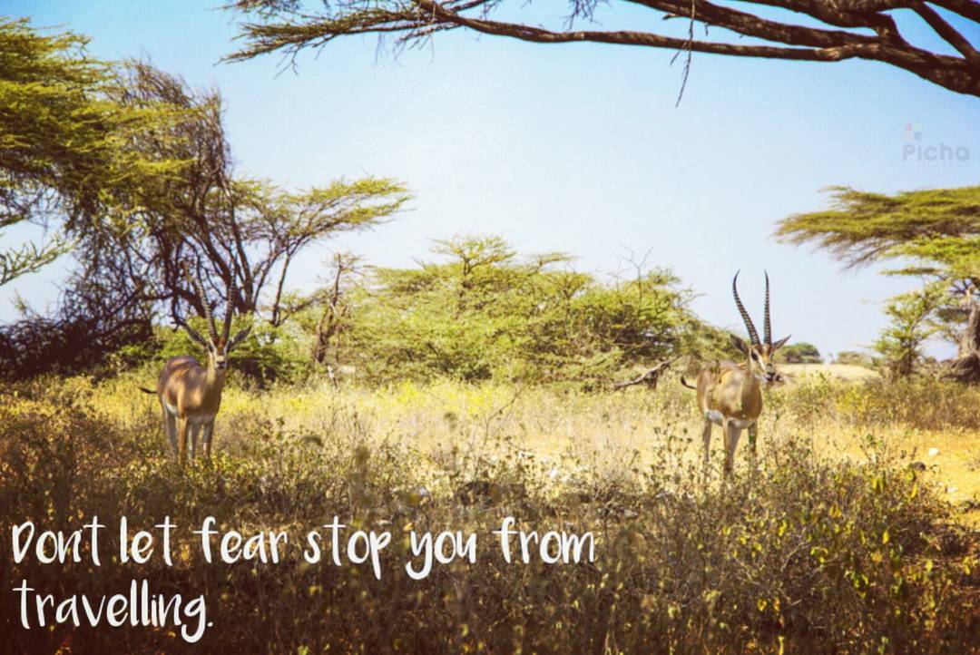 pichajournal's tweet photo. Let your faith be bigger than your fear! 😀
#TembeaKenya #igkenya #kenyapics https://t.co/VM44Y4qyK9