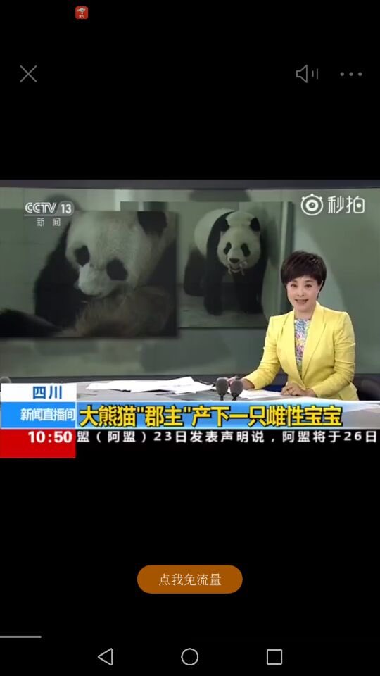 aPandaCity's tweet photo. Giant panda Jun Zhu gave birth to a female baby, this summer's panda baby boom is coming 🐼🐼🐼#pandas #Pandastory https://t.co/sKRXIVBQAO