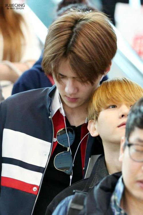 seludelu's tweet photo. sehun's 49 cm shoulder is baekhyun's personal pillow https://t.co/O7JcUY0QwS