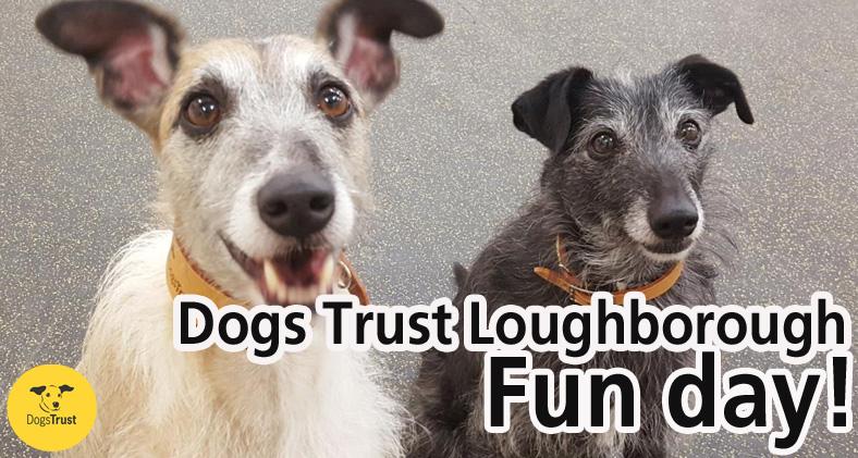 DT_Loughborough's tweet photo. It’s nearly our Summer Fun Day! Next Sunday, 30th July, at Turnpost Farm near Wymeswold. Gates open 10.30am. Come and join us! https://t.co/9pWZ2n5Ene