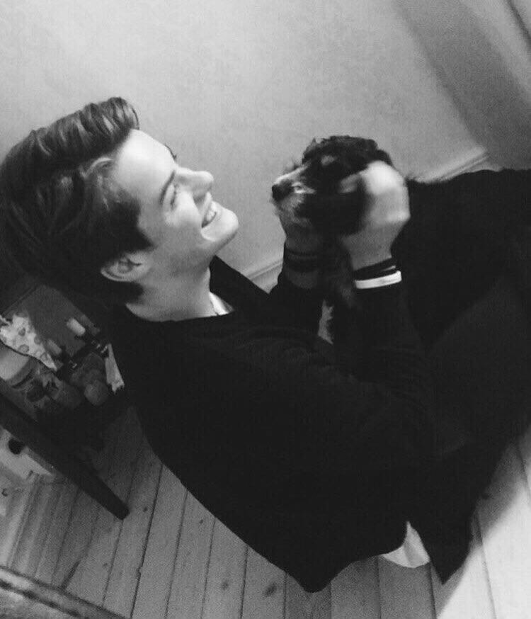 ValerieCMiller's tweet photo. My fav puppies are hanging around me👀 https://t.co/rjRPA7KznF