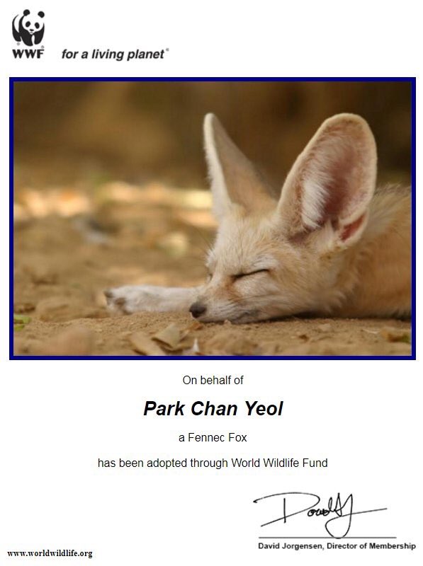 mollyysim's tweet photo. [612daysofsummer] I was able to donate $300 to WWF &amp; adopted two animals on behalf of Kyungsoo and Chanyeol. Thank you for supporting guys 💓 https://t.co/i9ULjaZnMw