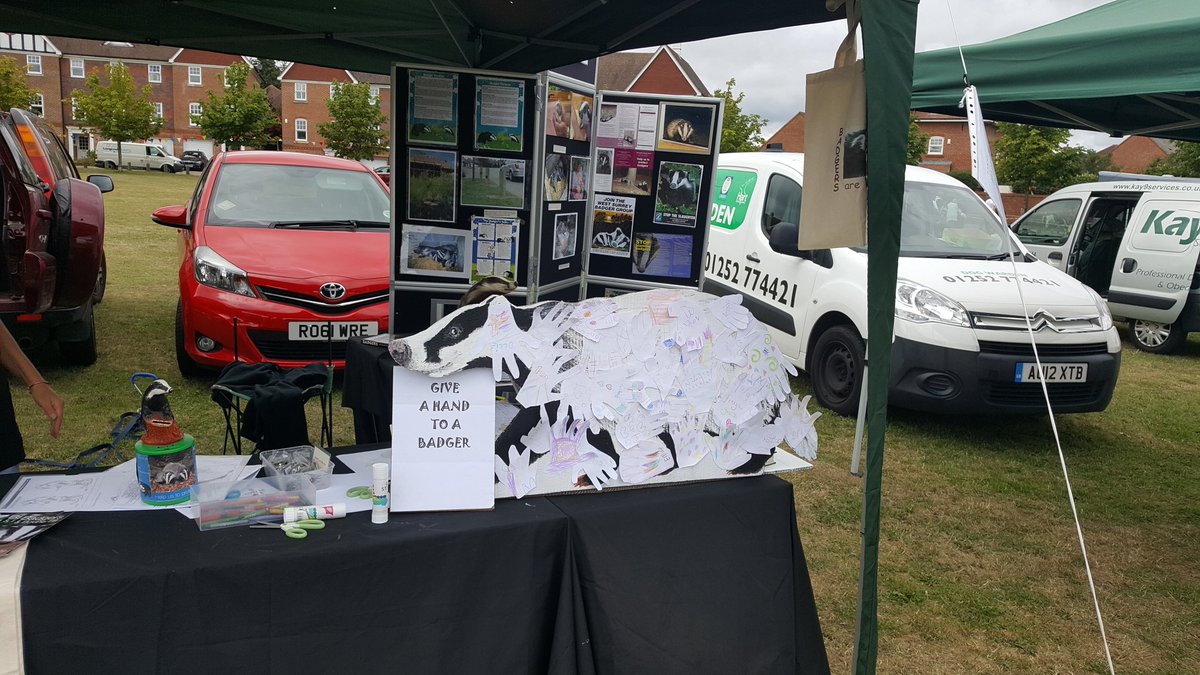 Surrey_Badger's tweet photo. We had a great time at the @EHParishCouncil Countryside Day. Spoke to lots of folk About #Badgers Overall very positive!! https://t.co/BTgN3y9Xni