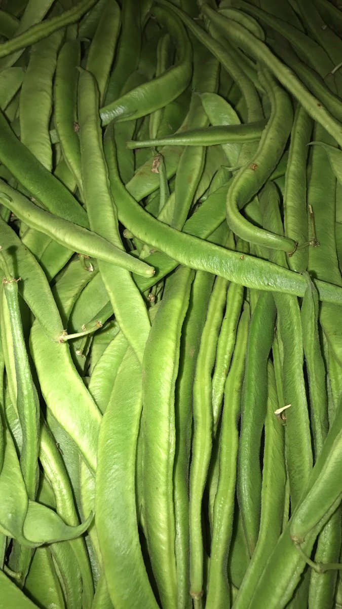 runningpatch's tweet image. Runner bean? Stick bean? Kidney bean? What do you call yours!?