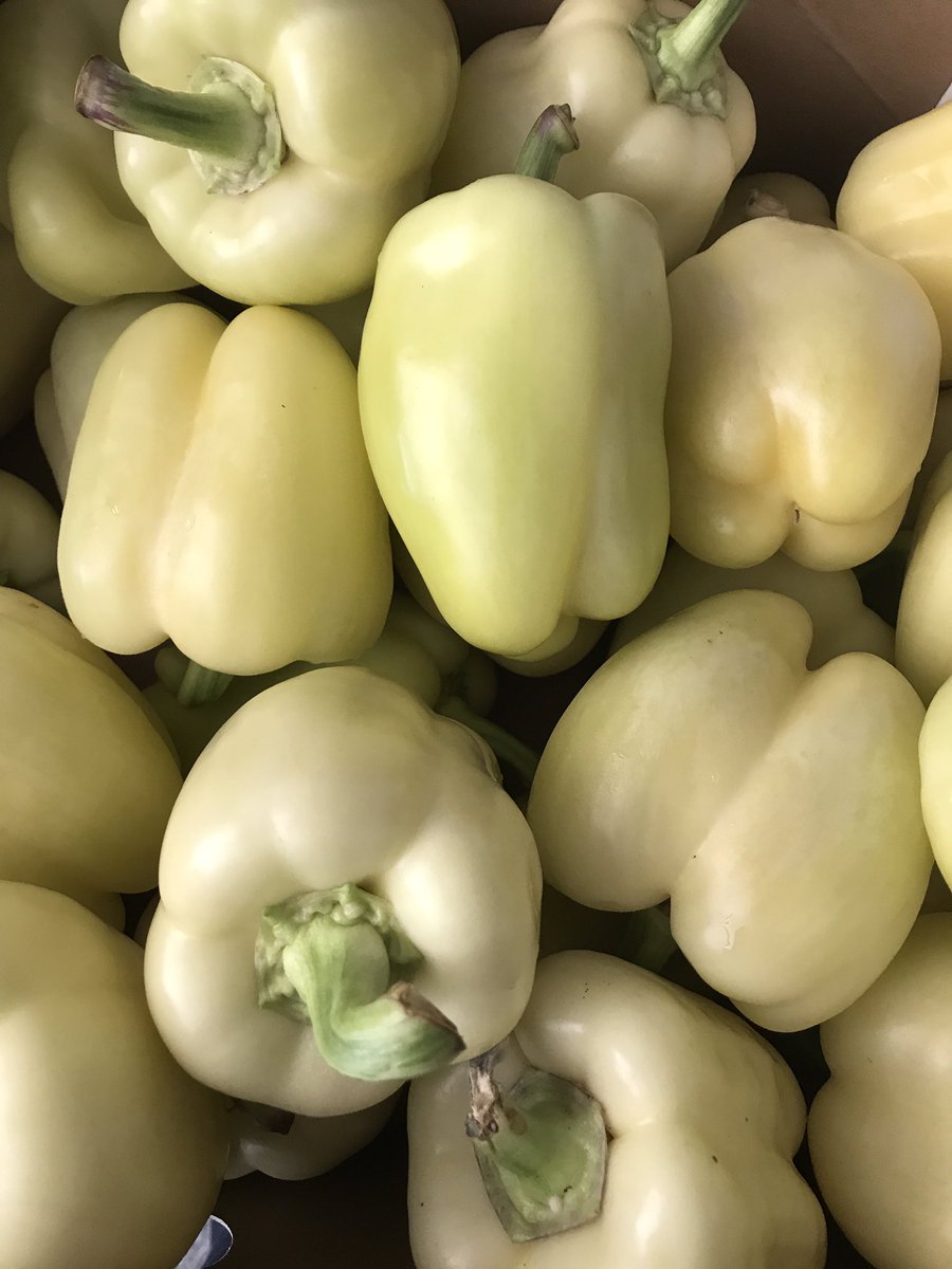 runningpatch's tweet image. White peppers! 😃